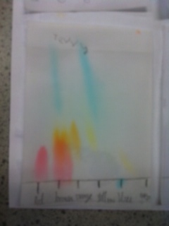 Data  results   candy chromatography